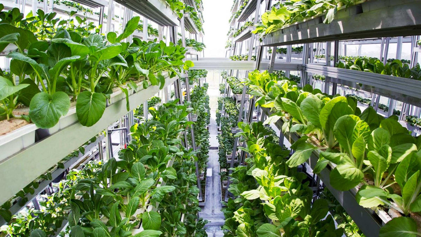 It's FINALLY Happening - Local Sustainable & Organic Foods in Singapore!