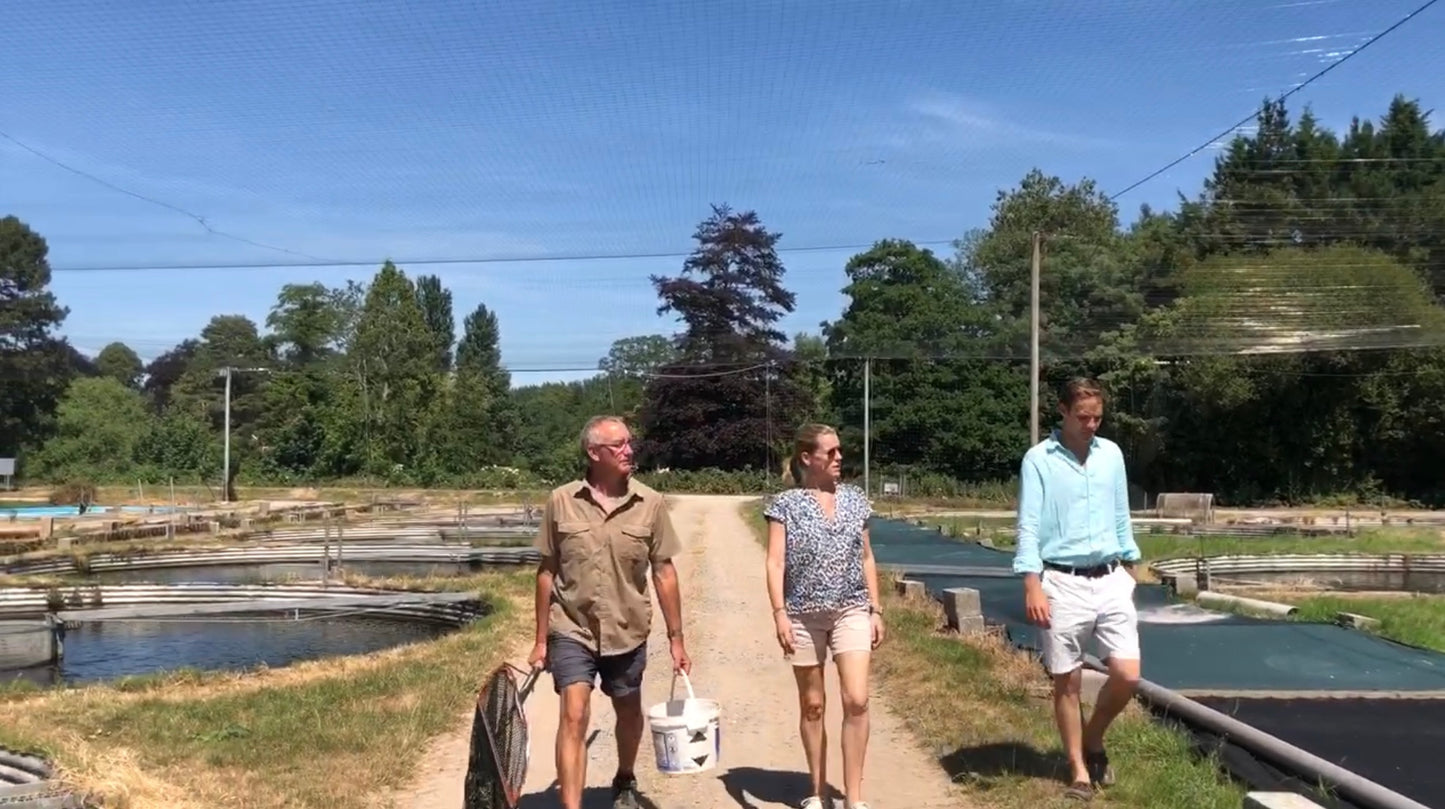 
                  
                    Sasha visiting the farm and observing these beautiful, healthy rainbow trout
                  
                