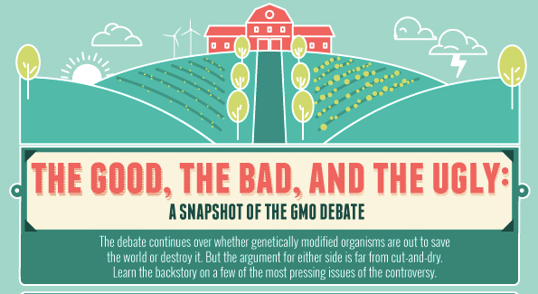 The Science and Politics of Genetically Modified Food