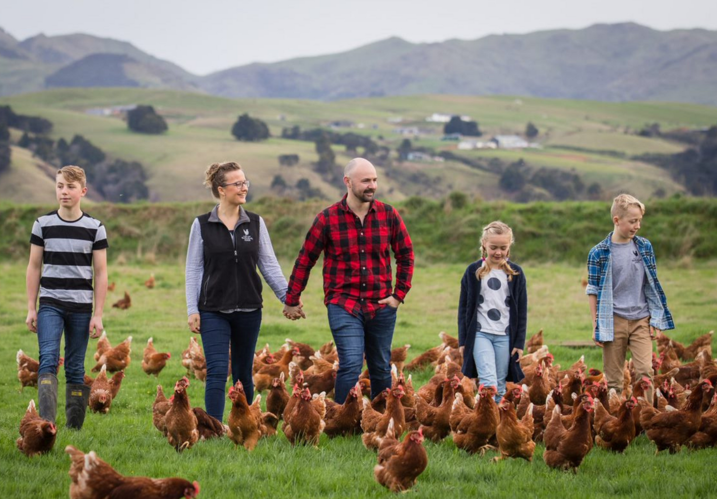 Family Farm Free Range Eggs