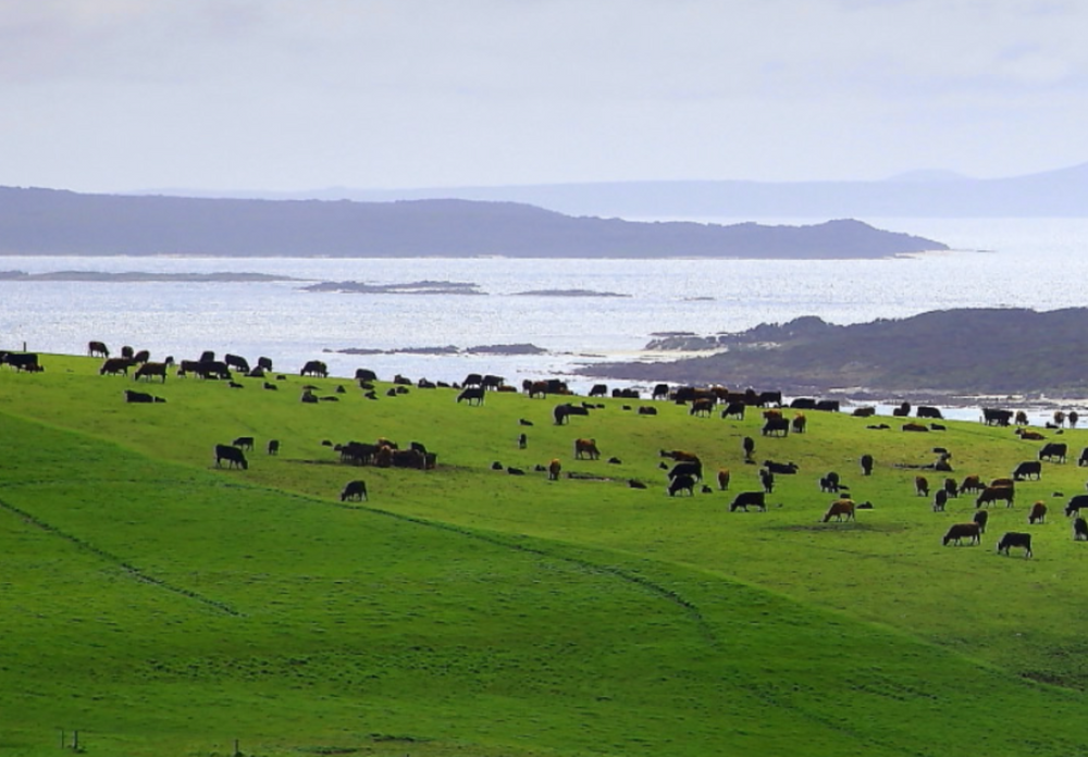 Bass Strait, Australia