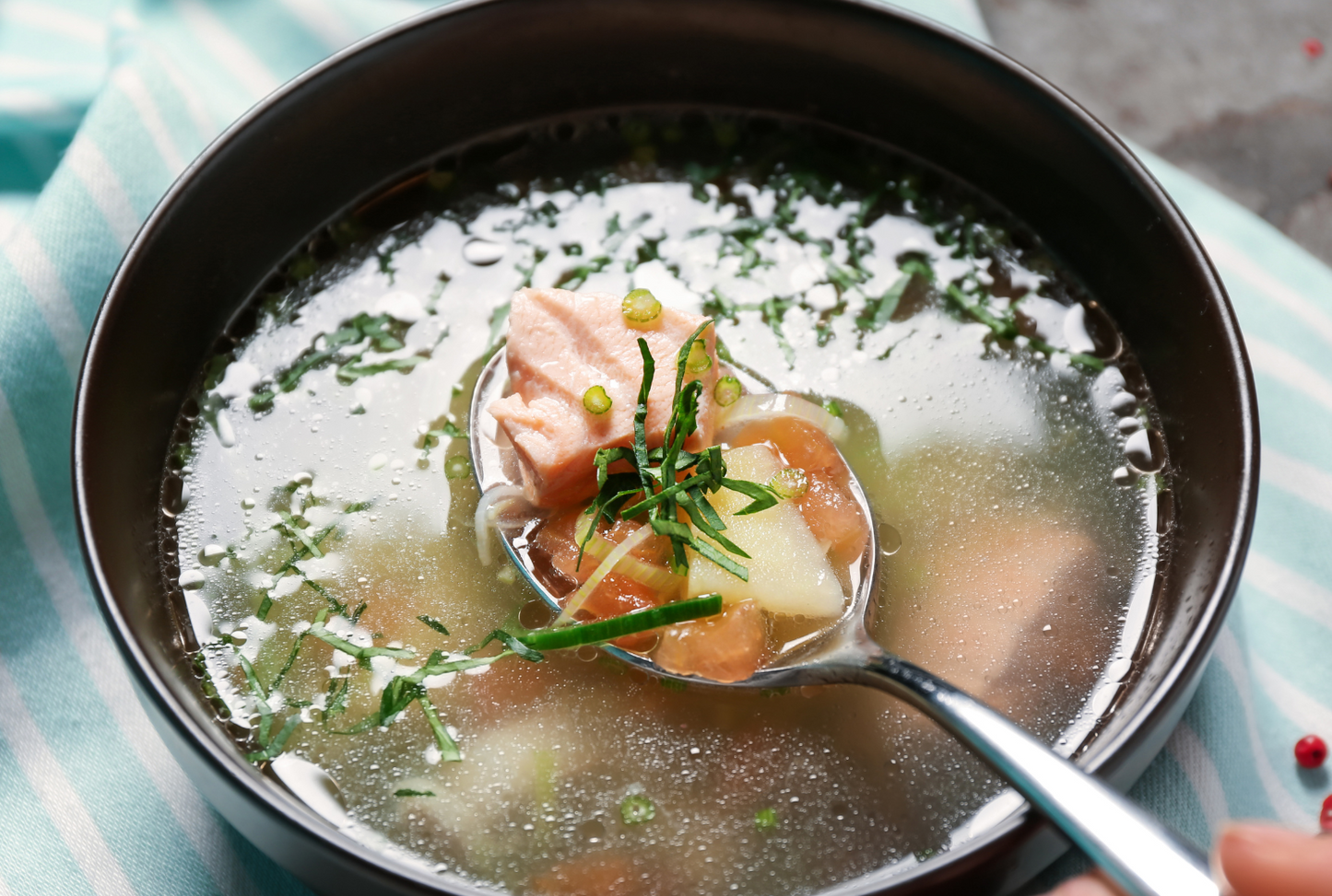 Salmon Fish Broth