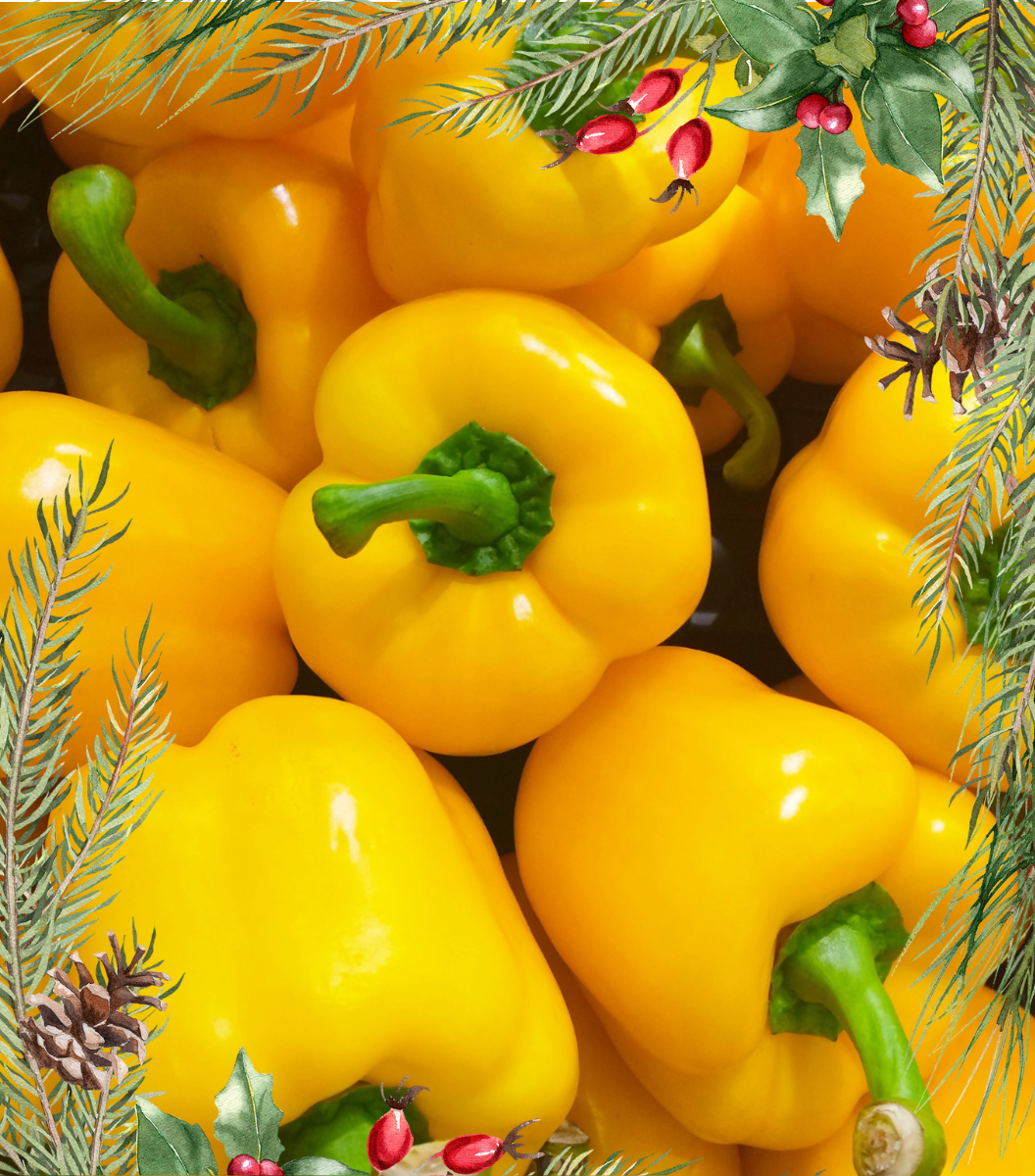 Yellow Capsicum