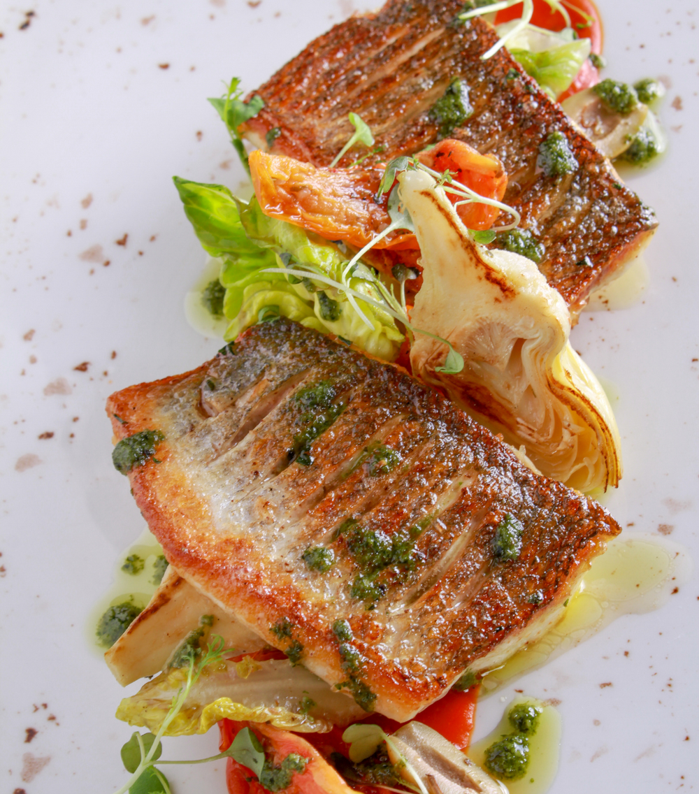 Blue Cod Fillets – Sasha's Fine Foods