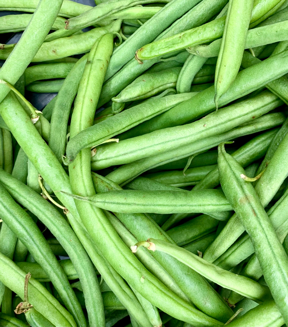 French Green Beans