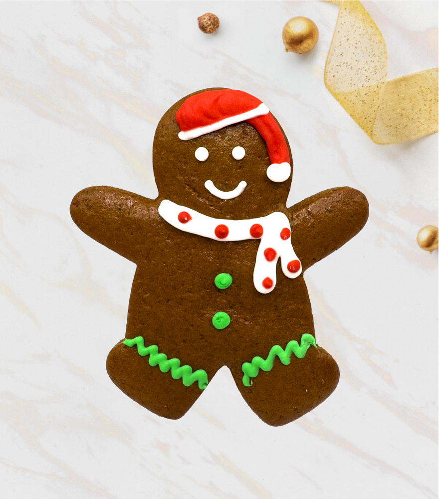 
                  
                    Christmas Gingerbread Boy
                  
                