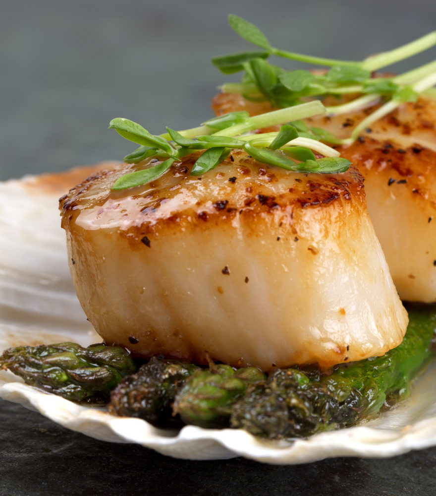 
                  
                    Premium Hokkaido Gyoren Scallops
                  
                