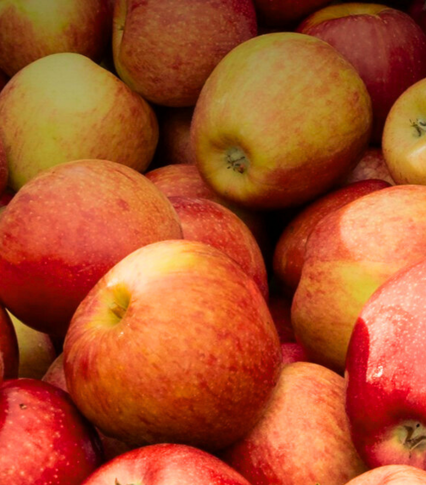 
                  
                    Sonya Apples
                  
                