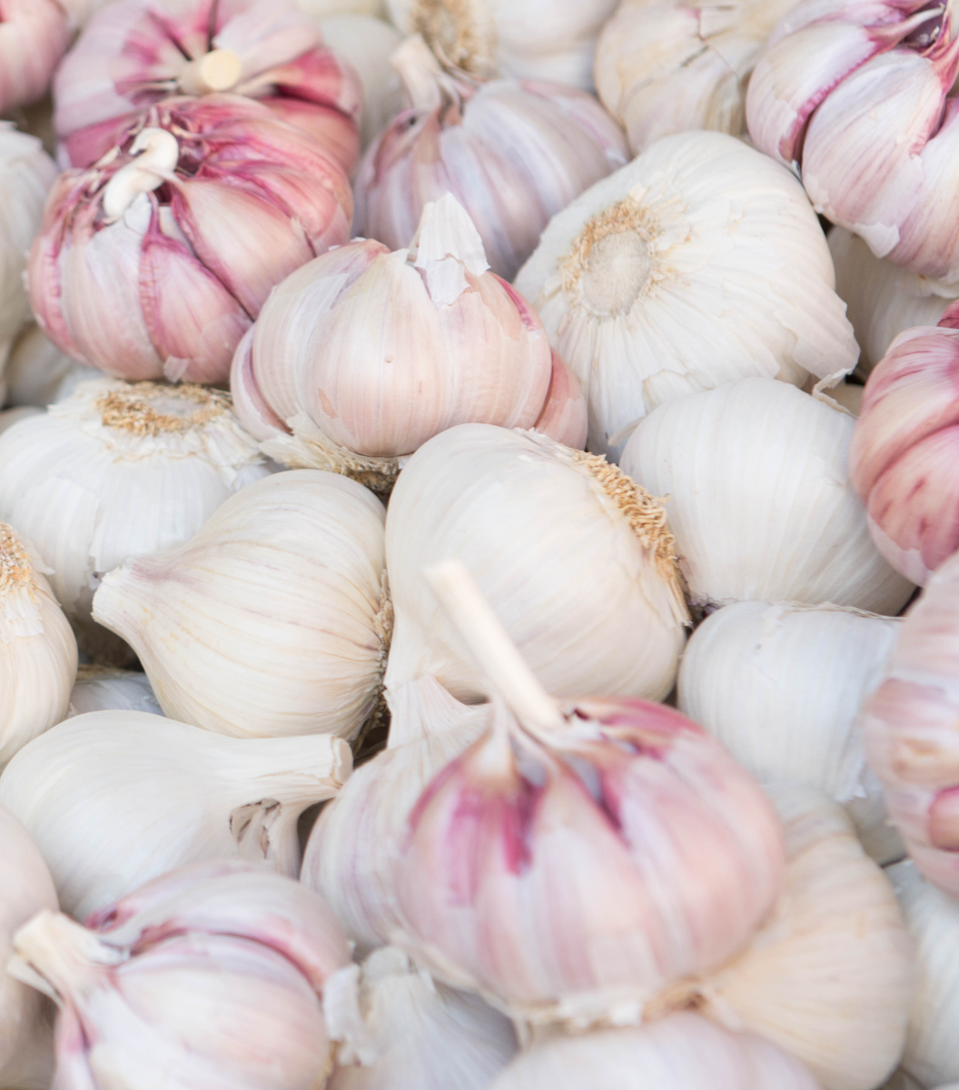 Spanish Garlic