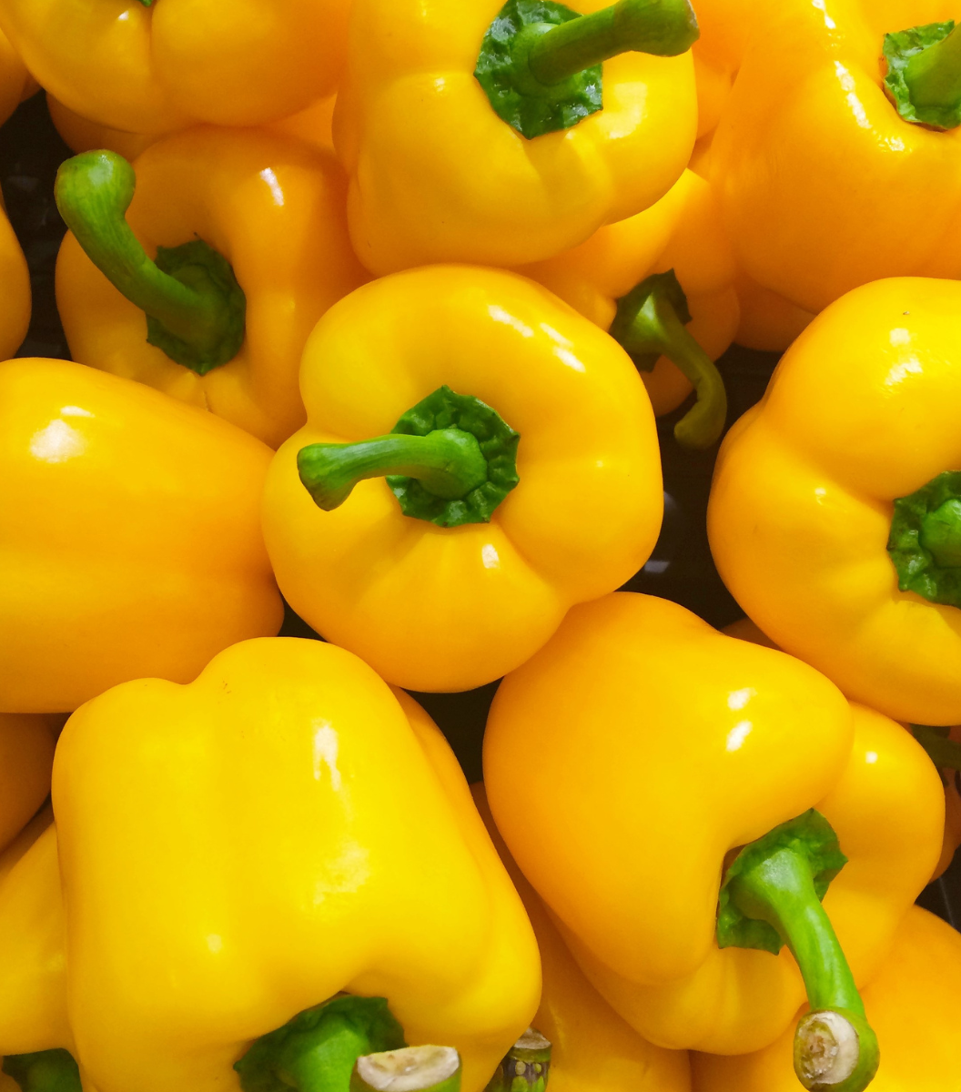 Yellow Capsicum