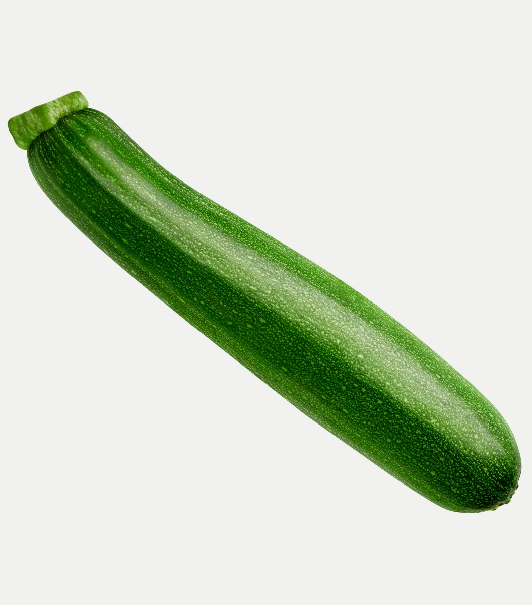 High quality Zucchini Green