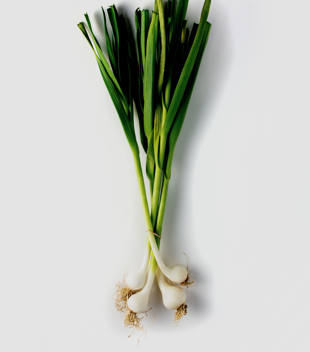Fresh green Spring Onion / Green Onions 100g | Sasha's Fine Foods Online Grocery Store in Singapore