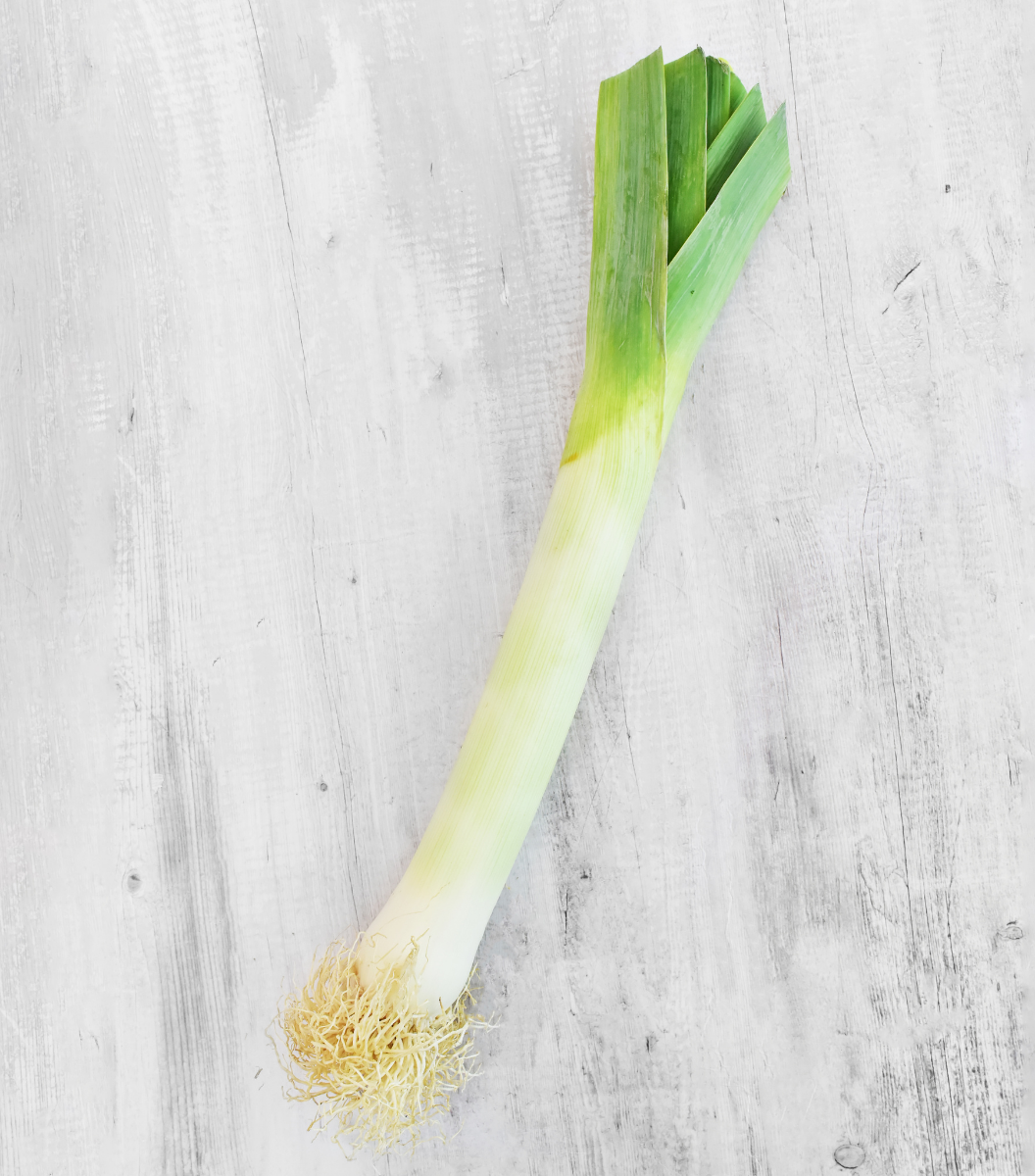 Leek