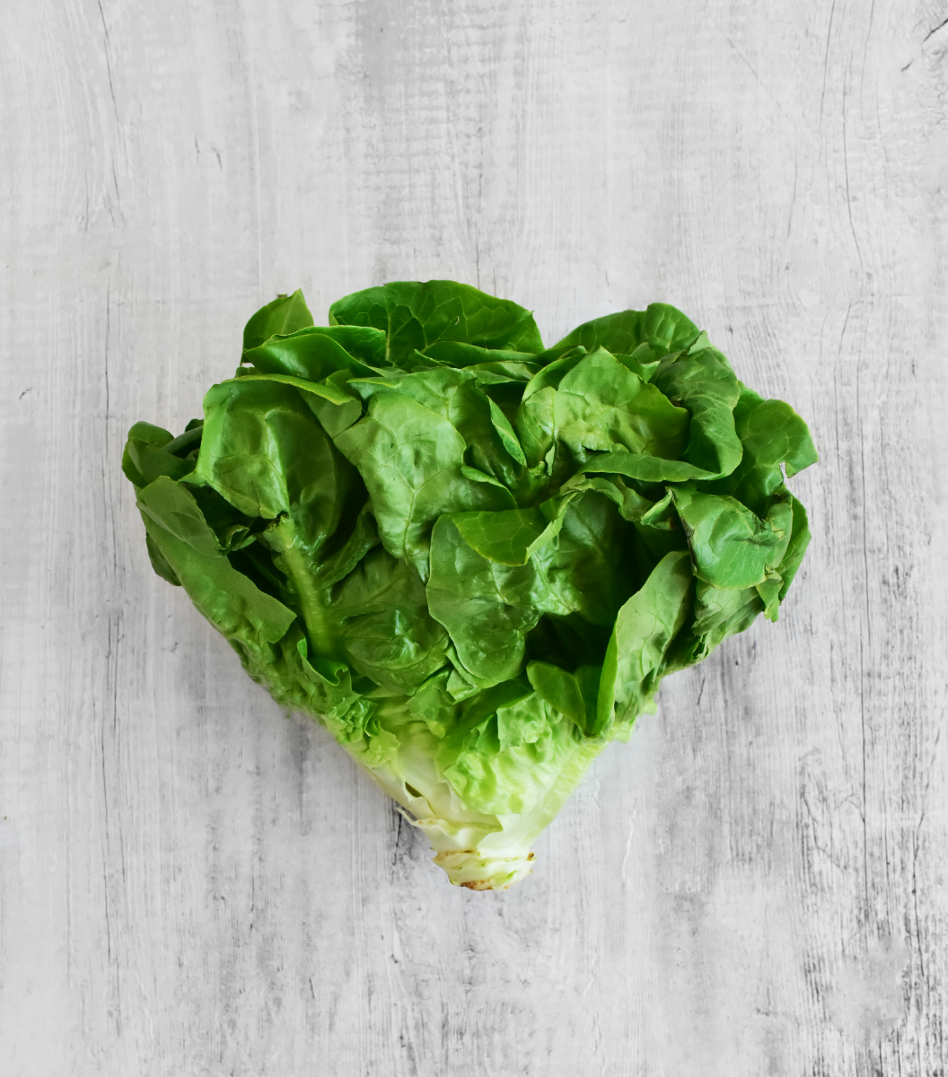 Fresh and crunchy Romaine Lettuce, 1 Pc | Sasha's Online Grocery Store in Singapore